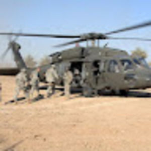 Meet your Posher, Donald